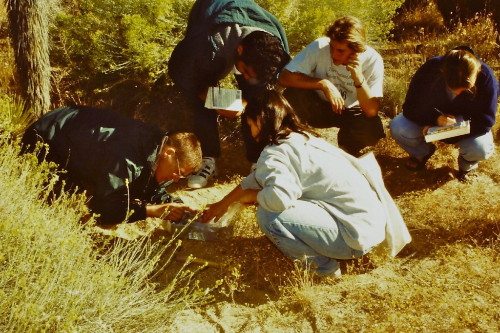 Students catching small mammals during trip to Upper Mojave Desert