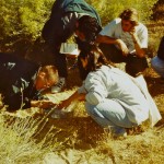 Students catching small mammals during trip to Upper Mojave Desert