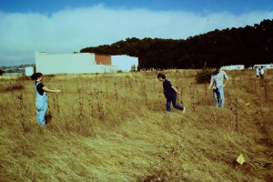 Transect at RFS