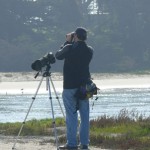 Alan at Elkhorn Slough, looking for birds