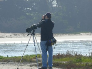 Alan at Elkhorn Slough, looking for birds